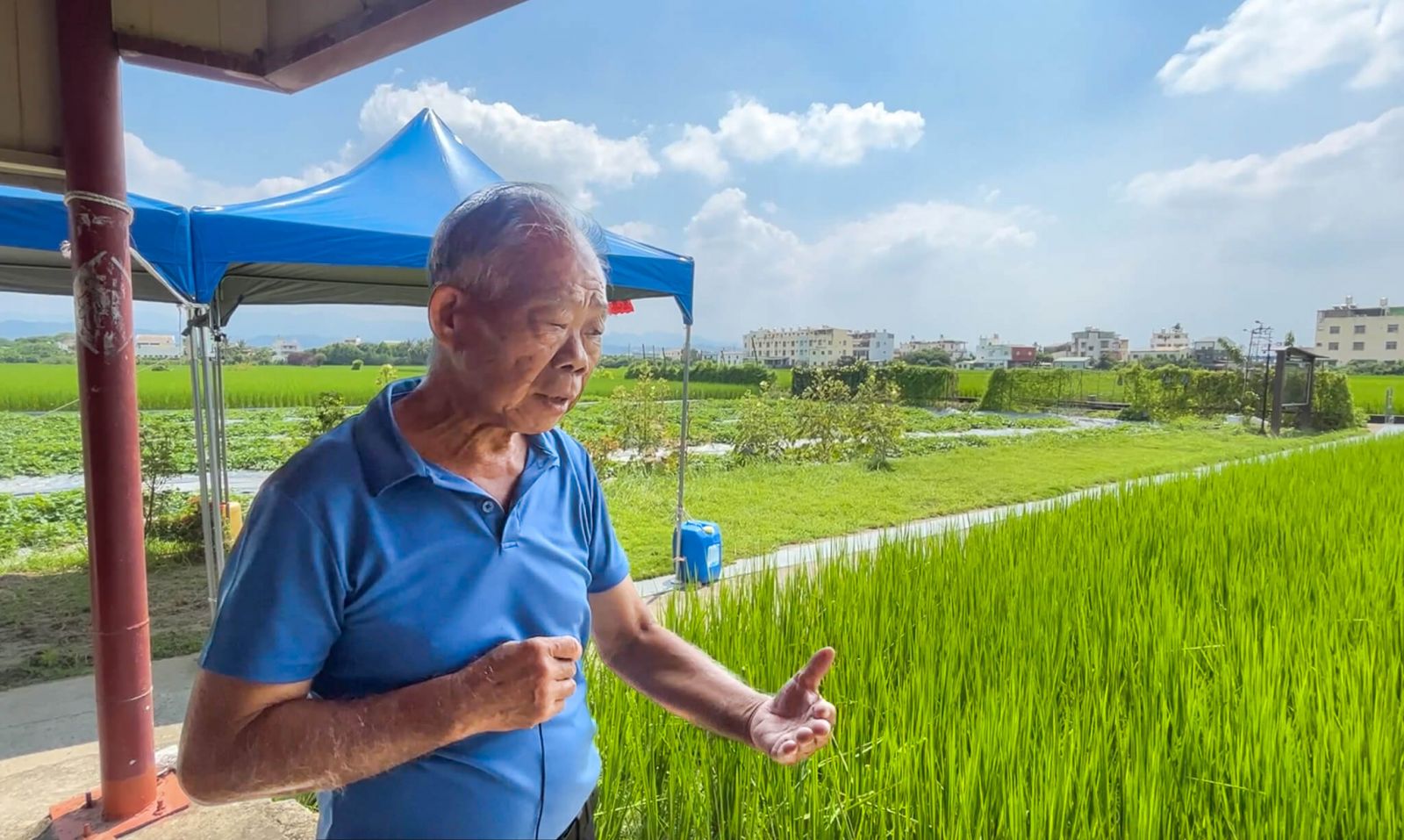 WU-FENG_ FARMERS'_ ASSOCIATION _WINERY_Wildlife-friendly-farming